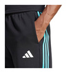 Mercedes AMG F1 2025 Herren Shorts DNA Logo