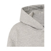Red Bull Racing 2026 Kinder Kapuzensweatjacke Relaxed Grau