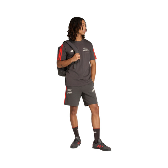 Audi Revolut F1 2026 T-Shirt DNA grau