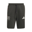 Audi Revolut F1 2026 Shorts DNA