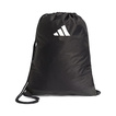 Audi Revolut F1 2026 Herren Tasche DNA