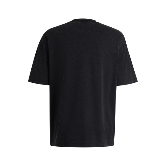 Visa Cash App Racing Bulls 2025 Herren T-shirt Washed