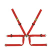 OMP Renngurt TECNICA Formula Rot (FIA)