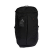 Audi Revolut F1 2026 Rucksack Ops