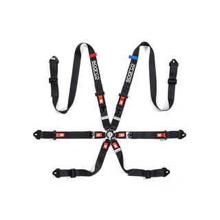 Sparco Renngurt COMPETITION H-2 PU Schwarz (FIA)