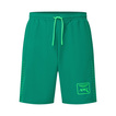Aston Martin Racing 2026 Team Shorts
