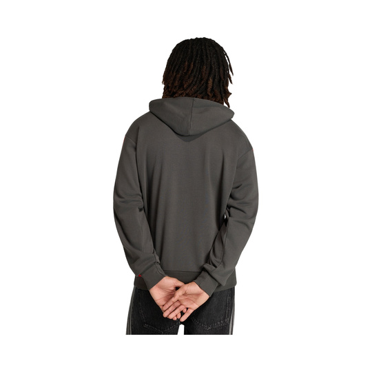 Audi Revolut F1 2026 Kapuzenpullover DNA