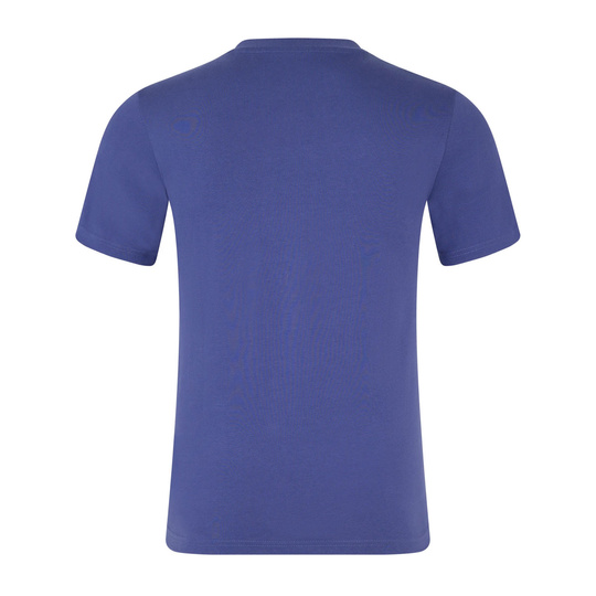 Red Bull Racing 2025 Herren T-Shirt Front Logo Blau