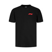 Formula 1 2025 Herren T-Shirt Small Logo Schwarz