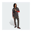 Audi Revolut F1 2026 T-Shirt DNA Graphic grau