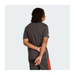 Audi Revolut F1 2026 T-Shirt DNA Graphic grau