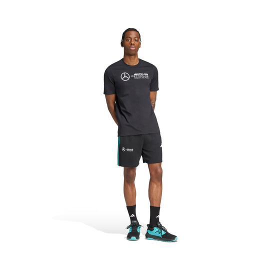 Mercedes AMG F1 2025 Herren Shorts DNA Logo