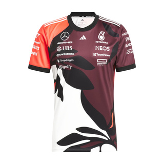 Mercedes AMG F1 2025 Herren T-Shirt Summer Team