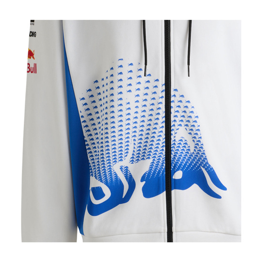 Visa Cash App Racing Bulls 2025 Herren Kapuzensweatjacke Team